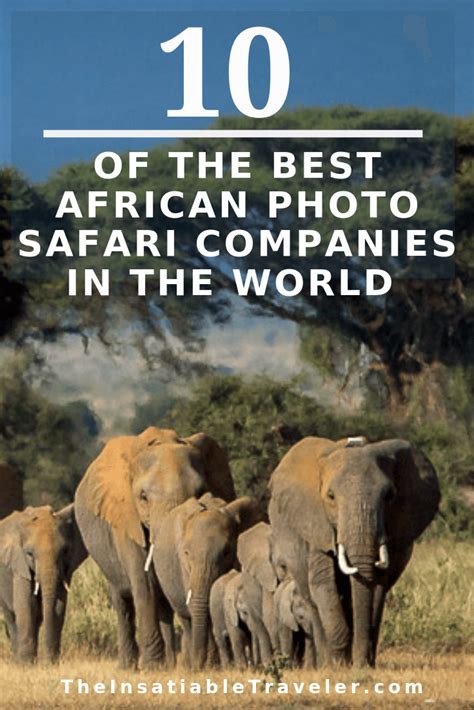 tube safaris|The 10 best African safari videos .
